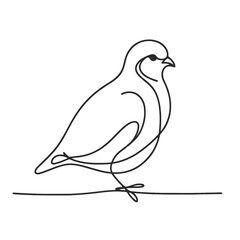 A bird is walking on a line. The bird is small and has a black and white color
