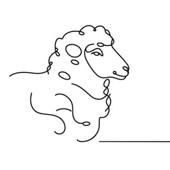 A sheep with a long mane and a short tail. The sheep is standing on a white background