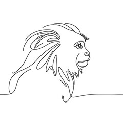 A lion with a long mane and a long tail. The lion is looking at the camera
