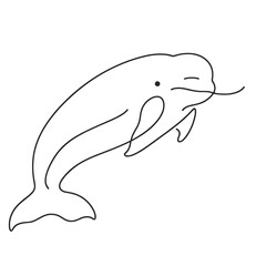 A white whale is shown in a black and white drawing. The whale is leaping out of the water, with its mouth open. The drawing conveys a sense of freedom and playfulness