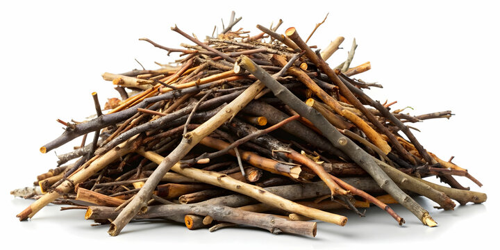 Branches pile isolated. Dry twigs pile ready for campfire, sticks, boughs heap for a fire, dry thin branches, brushwood, branches