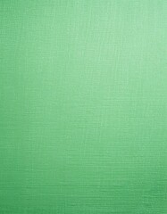 Fototapeta premium 布のテクスチャーの背景画像（background image of cloth texture） 