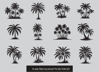 Set of palm trees vector illustration