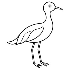 Obraz premium A cute bird vector art illustration. 