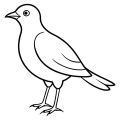    A cute bird vector art illustration.
