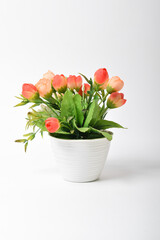 Front view of beautiful artificial tulips in pot isolated on white background.House plant