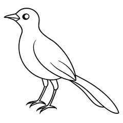 Obraz premium A cute bird vector art illustration. 