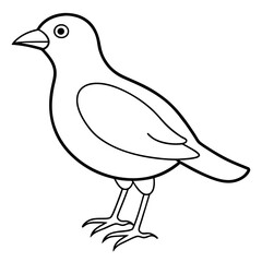    A cute bird vector art illustration.
