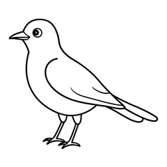    A cute bird vector art illustration.
