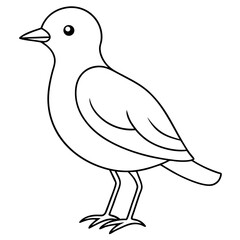    A cute bird vector art illustration.

