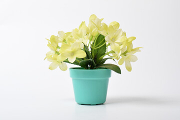 Beautiful artificial green plant yellow flowers in green pot isolated on white background. House...