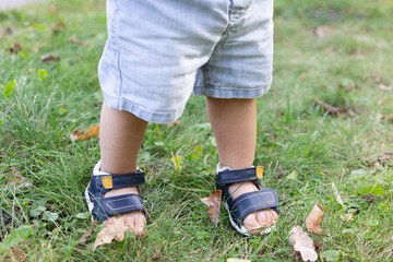 Babys feet in too small sandals walk on the green grass in a park