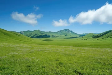 Green grass growing on vast field with mountains under blue cloudy sky