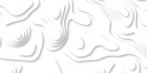 Abstract wavy line 3d paper cut white background with shadows. Abstract realistic papercut decoration textured with wavy layers. Topographic contour lines vector map seamless pattern vector. 