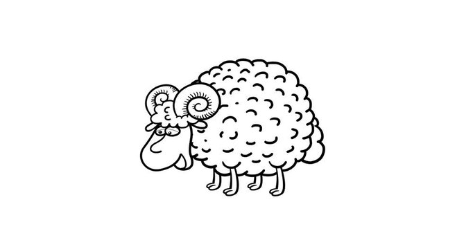 White ram animation bleat baa whiteboard. Cartoon animated seamless transitions black and white outline single animal character moves serie. Funny simple linear pet animation bleating.
