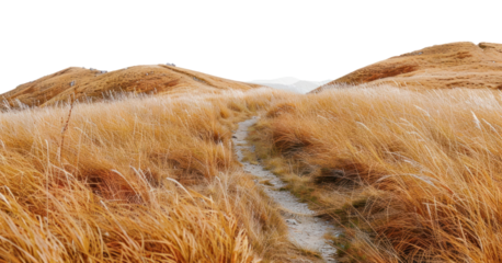 PNG Golden hills with winding path