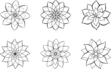 set of black and white flowers