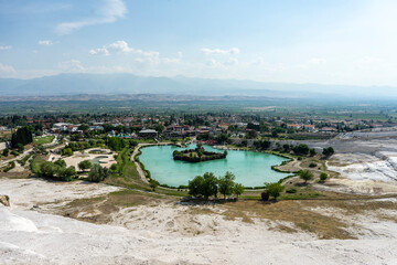 Oasis in the salt desert