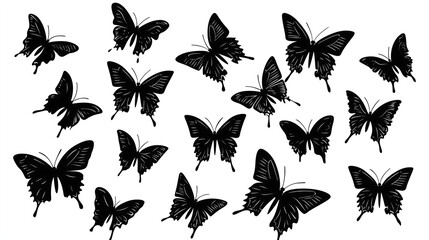 Fototapeta premium Silhouettes of various butterfly shapes vector illustration on a white background