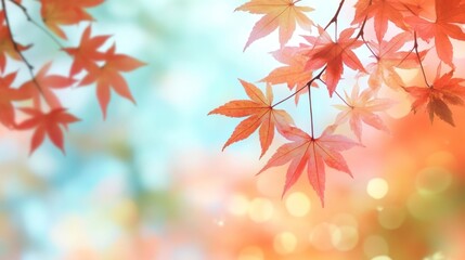Autumn leaves with bokeh background