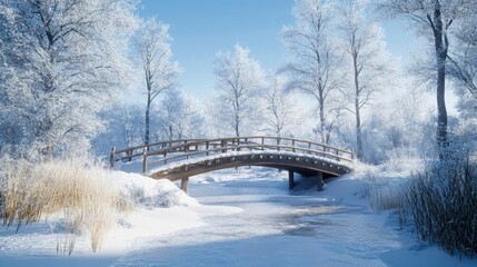 A snow-covered bridge arching over a frozen stream, with tall frosted trees standing on either side under a clear winter sky.