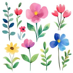 Different different Cute spring flowers, clipart, watercolor illustration, simple clean line art, white background, colorful,