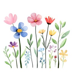 Obraz premium Different different Cute spring flowers, clipart, watercolor illustration, simple clean line art, white background, colorful,