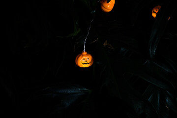 halloween pumpkin on black background