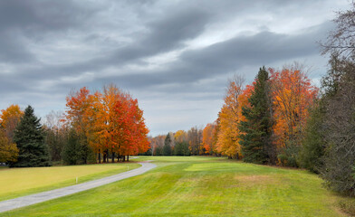 Naklejka premium A beautiful golf course on a cool cloudy autumn day in Canada