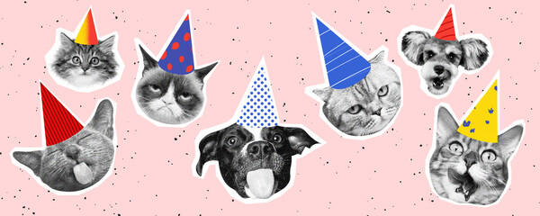 funny cats and dogs in party hats