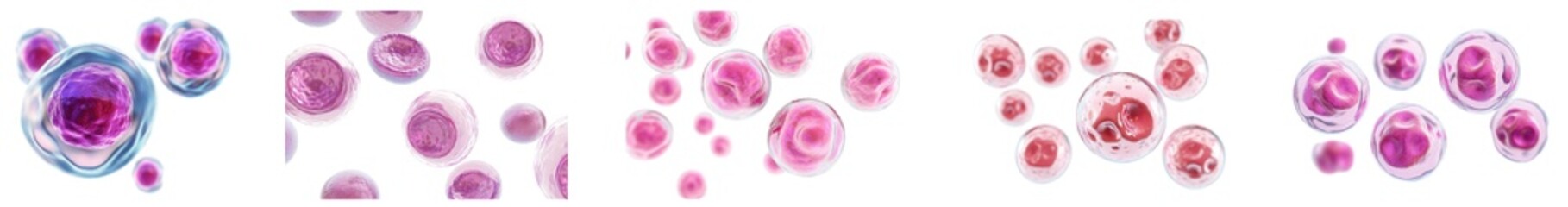 Human Cell Structures, intricate cellular components, showcasing diverse functions, vital for understanding biological processes and health implications