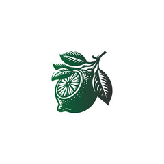 leaves isolated on white background