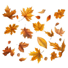 Fototapeta premium Close-up of an autumn leaf in red and yellow colours. White background