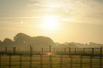 Morning sunrise meadow behind the fence. Big bright golden sun right in the middle of the sky.