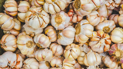 Pile of Garlic Bulbs in Macro Detail. spices typical of Indonesian food.
