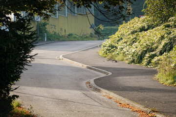 Zig zag asphalted road heading up a hill. 