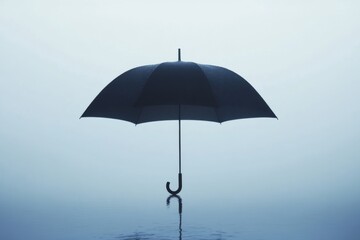 Obraz premium Simple Umbrella Silhouette