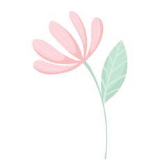 Decorative vector illustration of a pink flower with a stem and one leaf, isolated on a white background. Stylized flower in flat vector style. Element for design of postcards, creation of prints