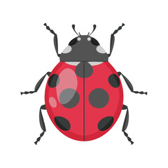 Cartoon Style Vector Illustration of a Cute Ladybug