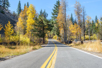 Fototapeta premium Empty mountain road through a forest in the Californian Sierra Nevada on a clear autumn day. Beautiful fall colors along the road.