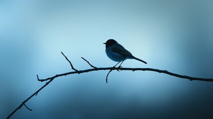 Minimalist Bird Perched on Tree Branch at Dusk