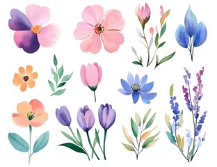 Watercolor flower clipart collection, simple flat design, white background, pastel colors, watercolor 