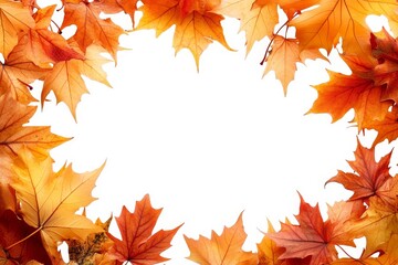 Fototapeta premium Autumn Leaves Frame with White Background
