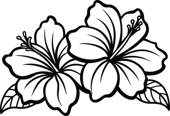 Black silhouettes of tropical hibiscus flowers isolated on a white background.