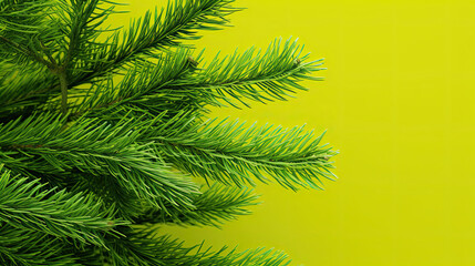 Fototapeta premium Snowy Christmas tree branches or snowy Christmas fir tree on a vivid lime background