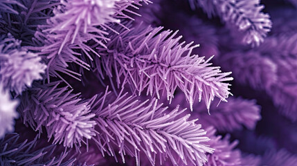 Snowy Christmas tree branches or snowy Christmas fir tree on a vivid purple background
