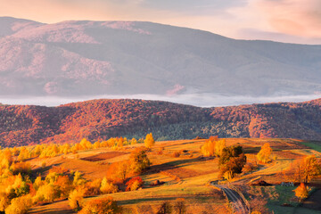 Fototapeta premium mountainous rural landscape in autumn at sunrise. fog in the valley. carpathian scenery countryside in morning light