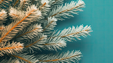 Snowy Christmas tree branches or snowy Christmas fir tree on a colorful background