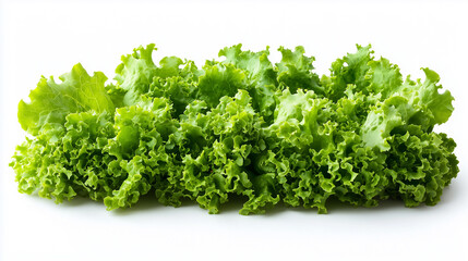Obraz premium Fresh green lettuce leaves create vibrant and healthy display, perfect for salads and garnishes. Their crisp texture and rich color enhance any dish.