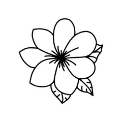 Tropical flower in doodle style. Vector, on a white background